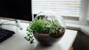 DIY: een planten terrarium