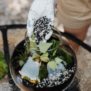 DIY: een planten terrarium